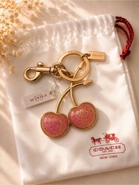 NWT Coach Large Cherry Resin Bag Charm Keychain + Dust Bag
